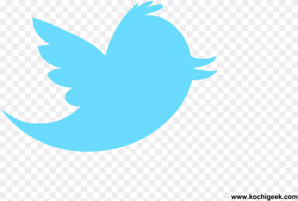 Twitter Logo Background Tweetdeck Logo, Animal, Fish, Sea Life, Shark Free Png