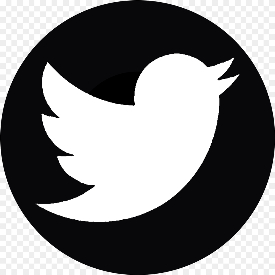 Twitter Logo Black Black Twitter Logo, Astronomy, Moon, Nature, Night Png