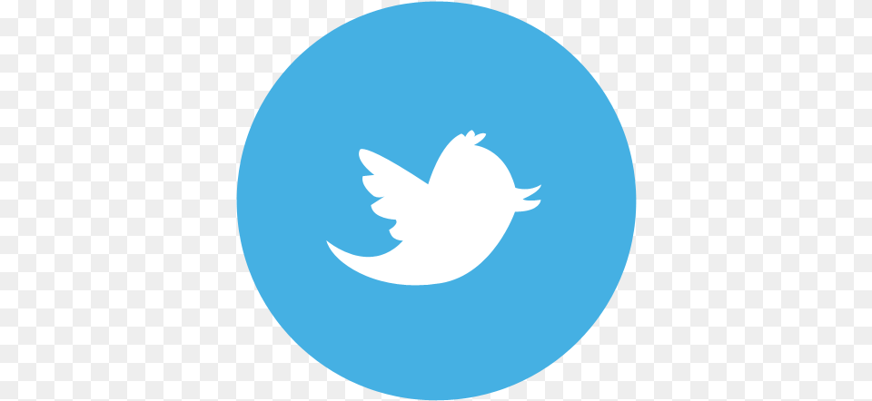 Twitter Logo Circle 2 Image Personal And Social Capability Png