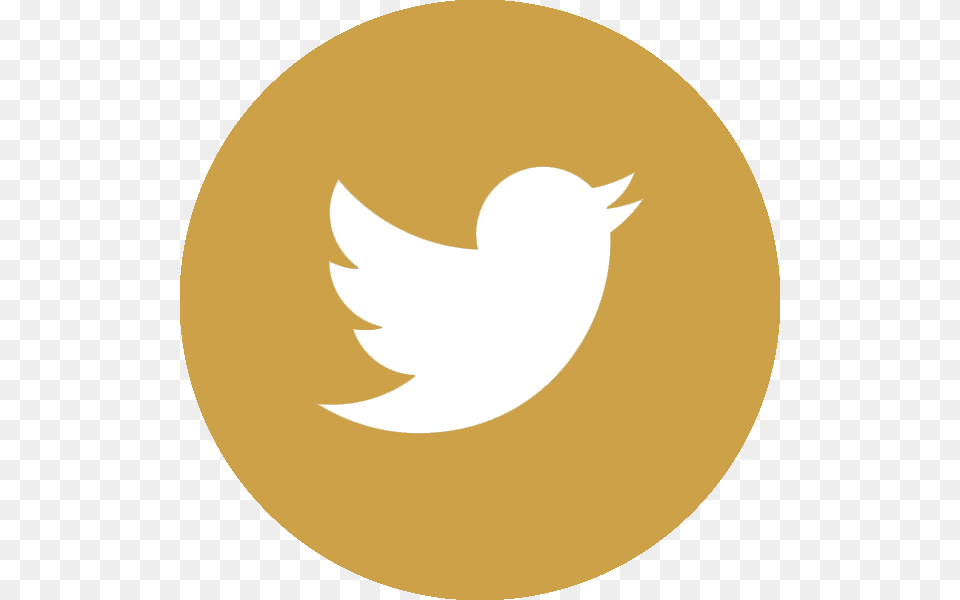 Twitter Logo Gold Transparent, Astronomy, Moon, Nature, Night Png