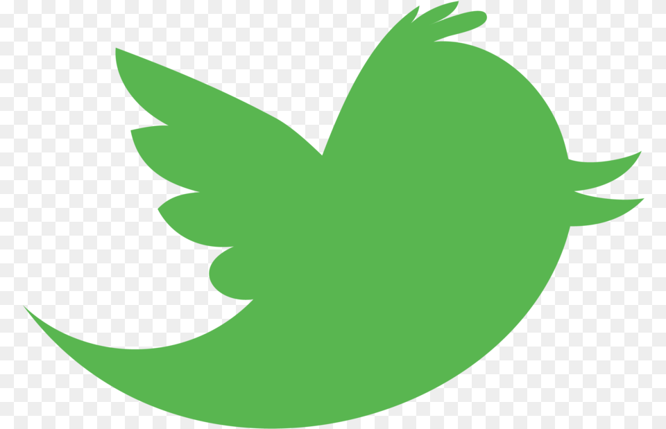 Twitter Logo Green Background Twitter Icon, Leaf, Plant, Animal, Fish Png