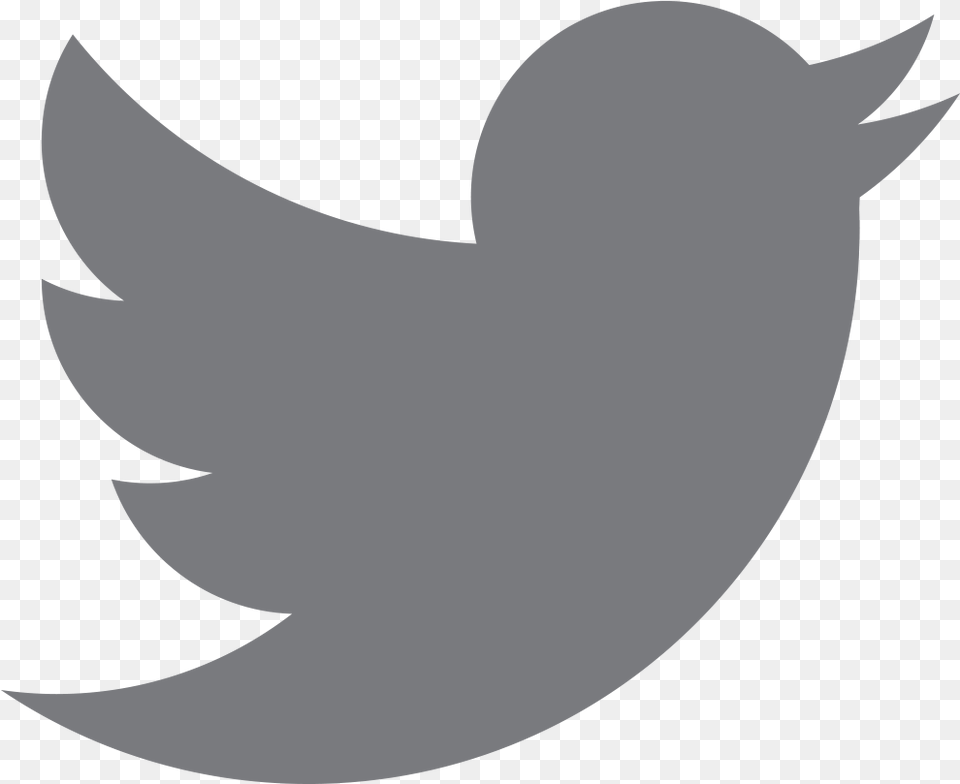 Twitter Logo Grey Twitter Grey Logo, Animal, Fish, Sea Life, Shark Free Png