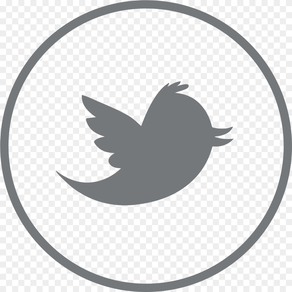 Twitter Logo Hd, Symbol Png Image