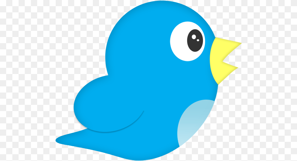 Twitter Logo Hd, Animal, Fish, Sea Life, Shark Free Png Download