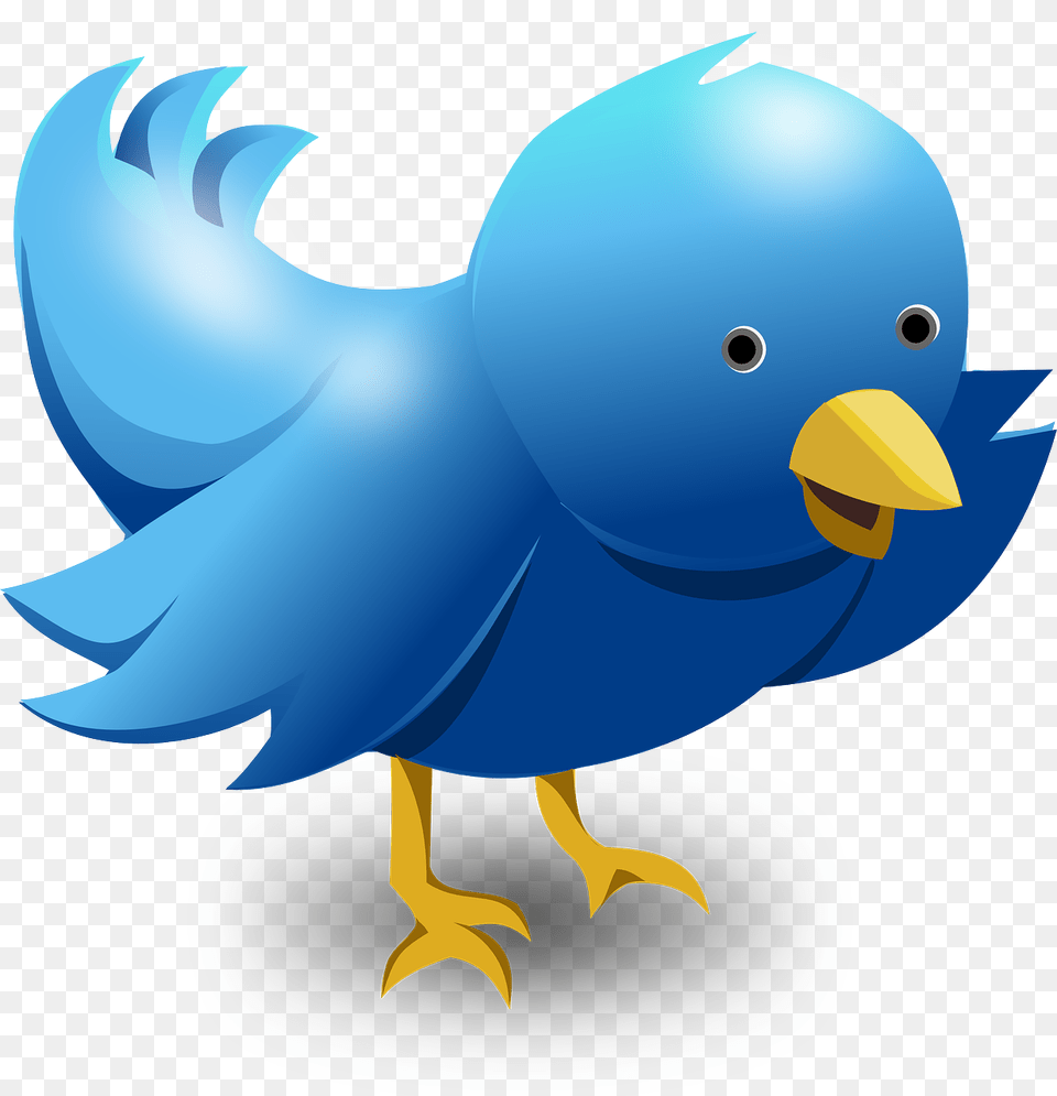 Twitter Logo Images Larry The Bird Twitter, Animal, Beak, Fish, Sea Life Png