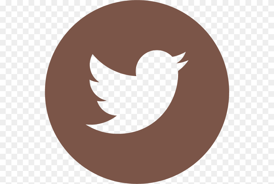 Twitter Logo In Circle, Animal, Bird, Blackbird Free Png Download
