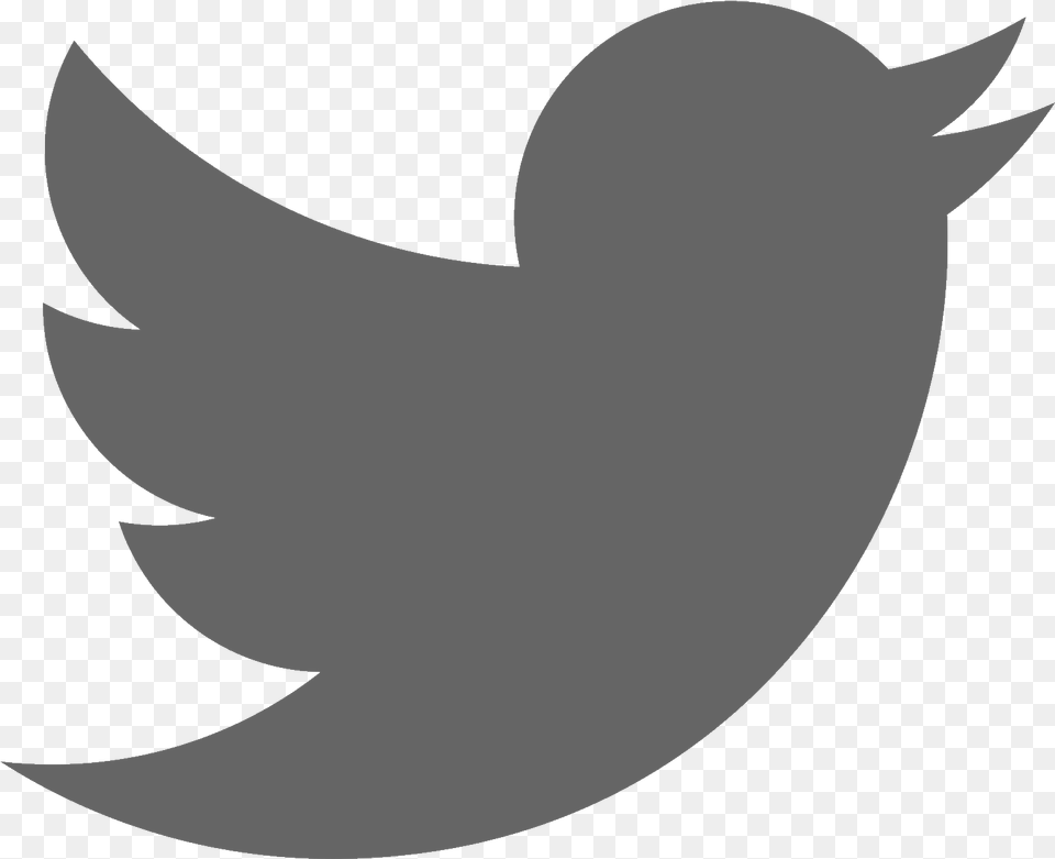 Twitter Logo In Grey Clipart Twitter Grey Logo, Animal, Fish, Sea Life, Shark Free Png Download