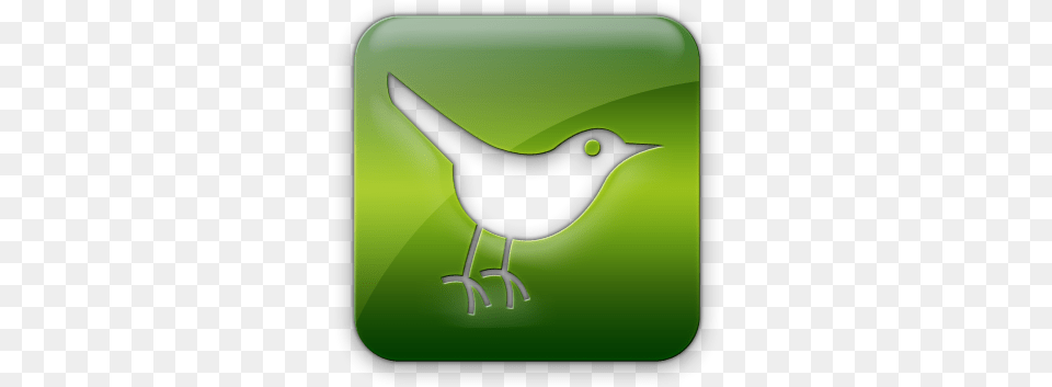 Twitter Logo Square Webtreatsetc Icon In Ico Or Icns Green Twitter Bird, Animal, Blackbird, Blade, Razor Png Image