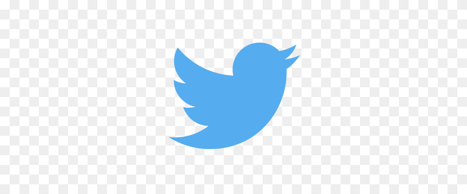 Twitter Logo Transparent, Animal, Fish, Sea Life, Shark Free Png Download