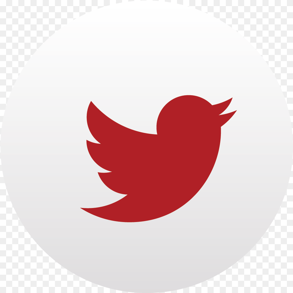 Twitter Logo Transparent Background Red Twitter Logo Transparent, Leaf, Plant Free Png Download