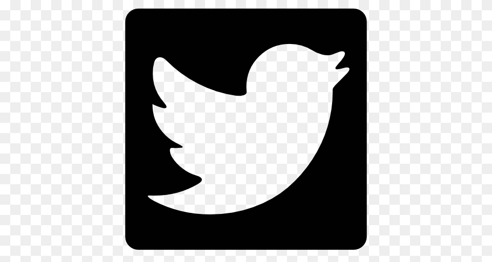 Twitter Logo Twitter Logo Images, Animal, Fish, Sea Life, Shark Free Transparent Png