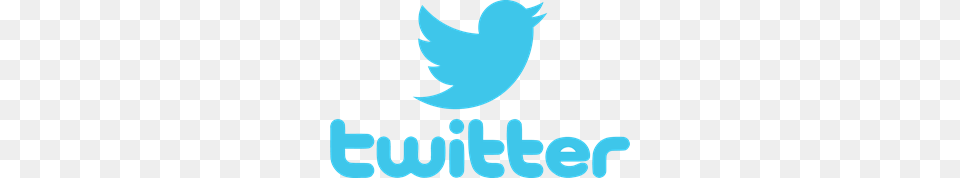 Twitter Logo Vector Transparent Twitter Logo Vector, Animal, Fish, Sea Life, Shark Png