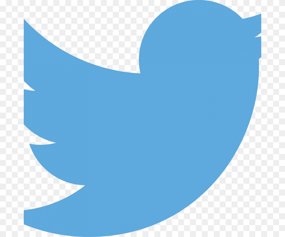 Twitter Logo Vertical, Animal, Bird Free Transparent Png
