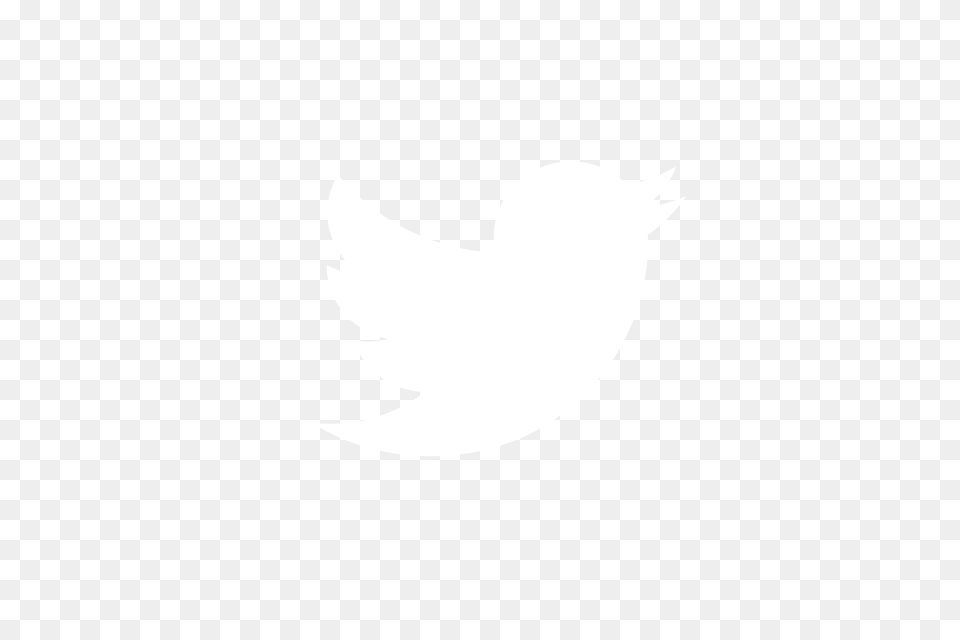 Twitter Logo White 1 Image Twitter Logo White Vector, Cutlery Free Transparent Png