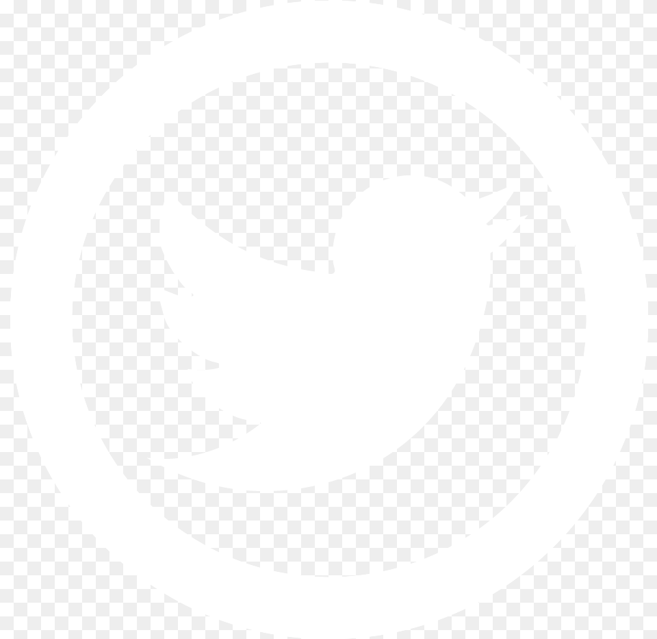 Twitter Logo White Circle Circle White Twitter Logo, Symbol Png