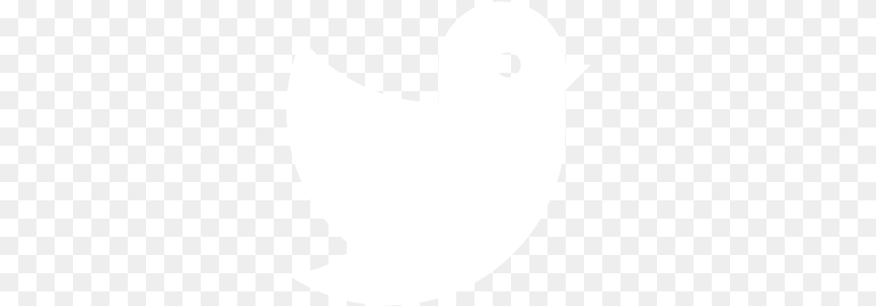Twitter Logo White Twitter Bird Vector, Animal, Pigeon Png