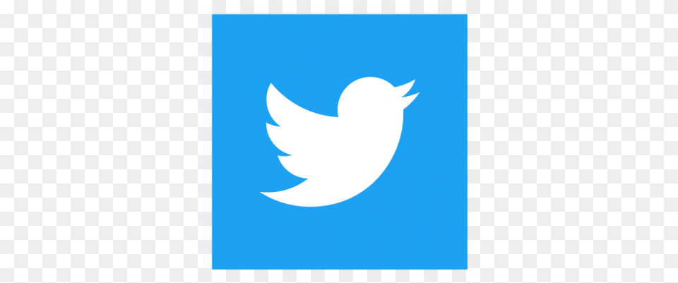 Twitter Logos Vector Ai Cdr Svg Twitter Logo Square Free Transparent Png