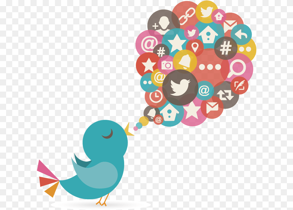 Twitter Marketing Agency In Usa Services Social Media And Bird, Art, Graphics, People, Person Free Png