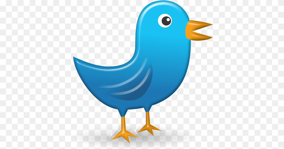Twitter Public Domain Search Cartoon Bird Looking To The Right, Animal, Beak, Fish, Sea Life Png