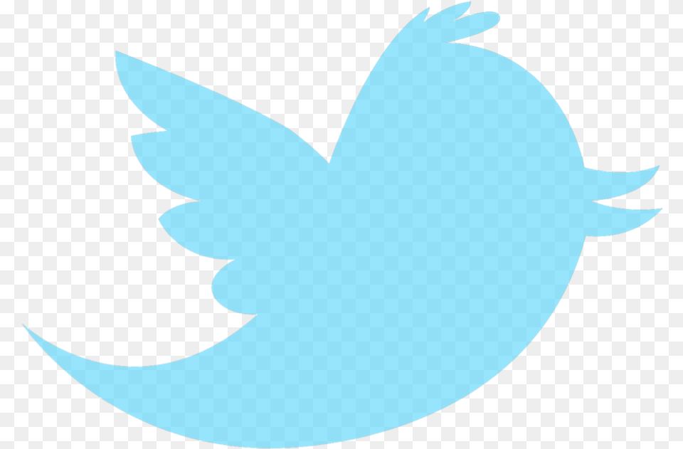 Twitter Round Logo Transparent Background 7 Twitter Bird, Animal, Fish, Sea Life, Shark Free Png Download