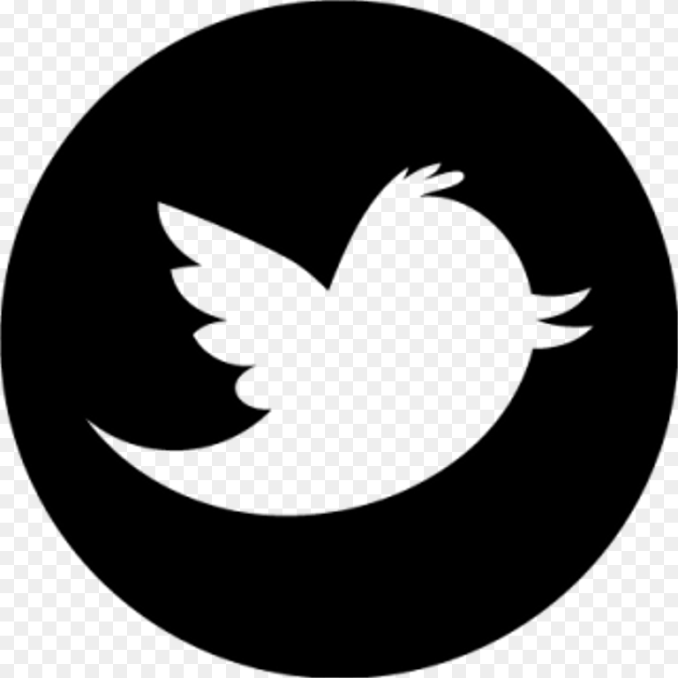 Twitter Social Media Icon, Gray Free Png