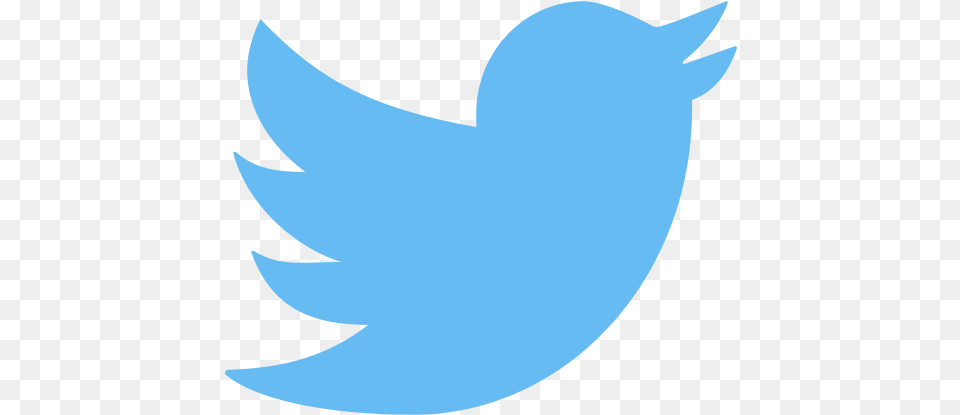 Twitter Social Media Icon Social Media Icons Twitter, Animal, Fish, Sea Life, Shark Png Image