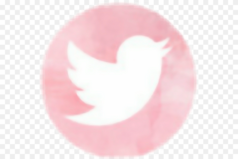 Twitter Social Watercolour Socialmedia Circle, Logo, Baby, Person Png Image