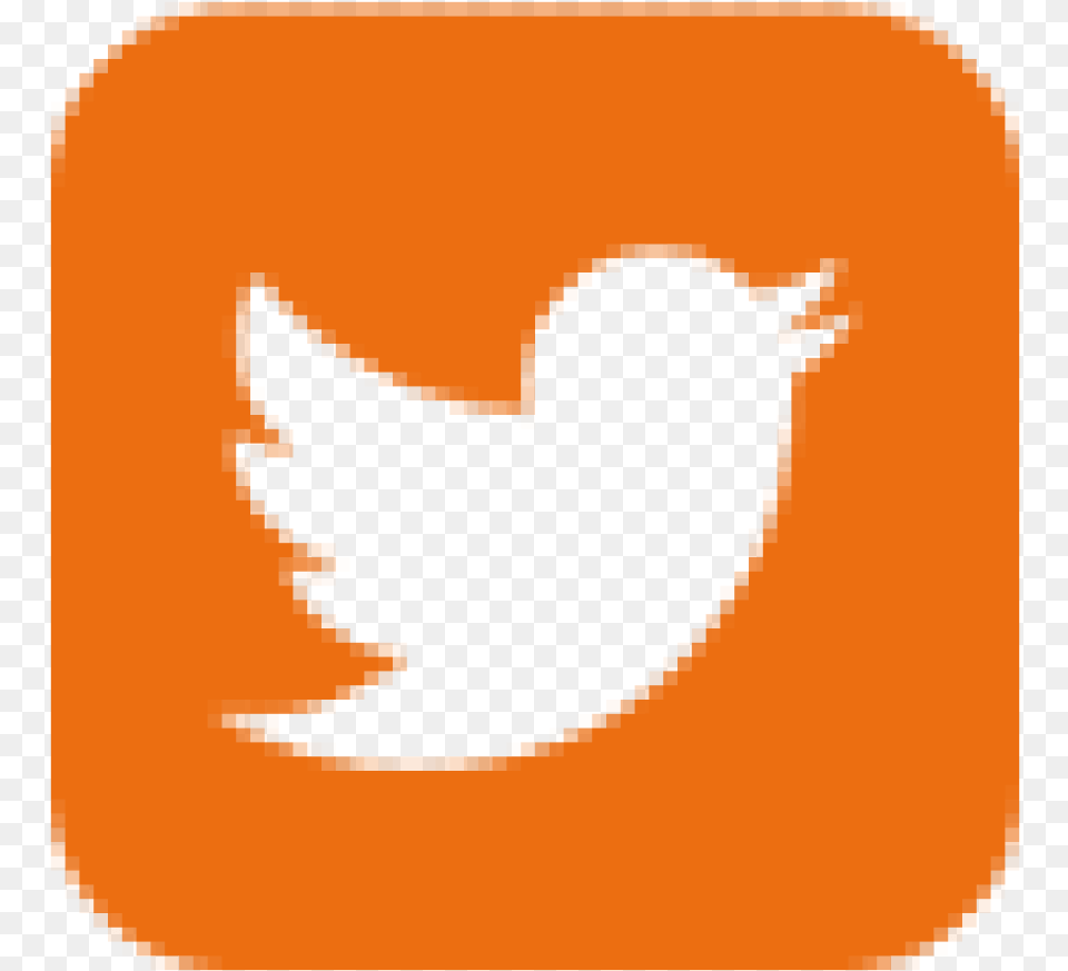 Twitter Square Icon Twitter 2018, Food, Plant, Produce, Pumpkin Free Png