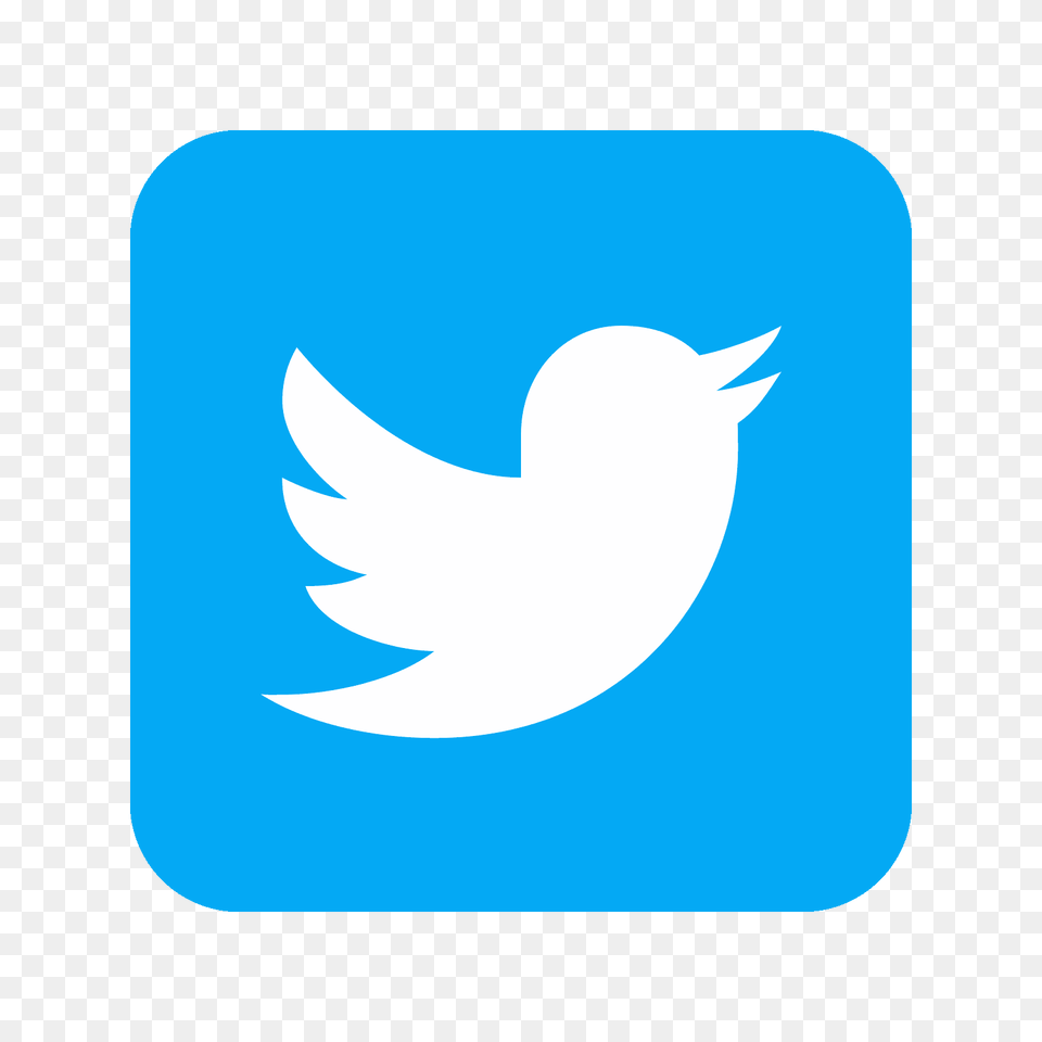 Twitter Squared Icon, Logo, Animal, Fish, Sea Life Png