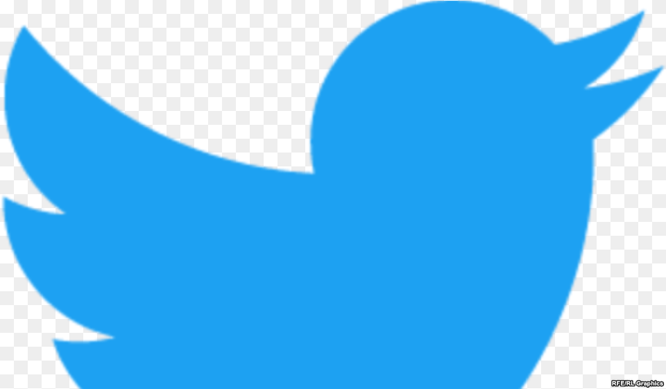 Twitter Suspends Account That 39impersonated39 Putin Twitter Logo Cut Free Transparent Png