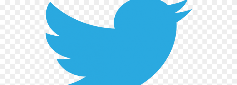 Twitter To Expand Singapore Team By 100 In Next 2 Years Twiter, Leaf, Plant, Logo Png Image