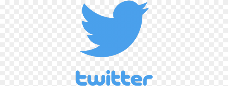 Twitter Transparent Twitter Icon, Logo, Animal, Sea Life, Shark Png
