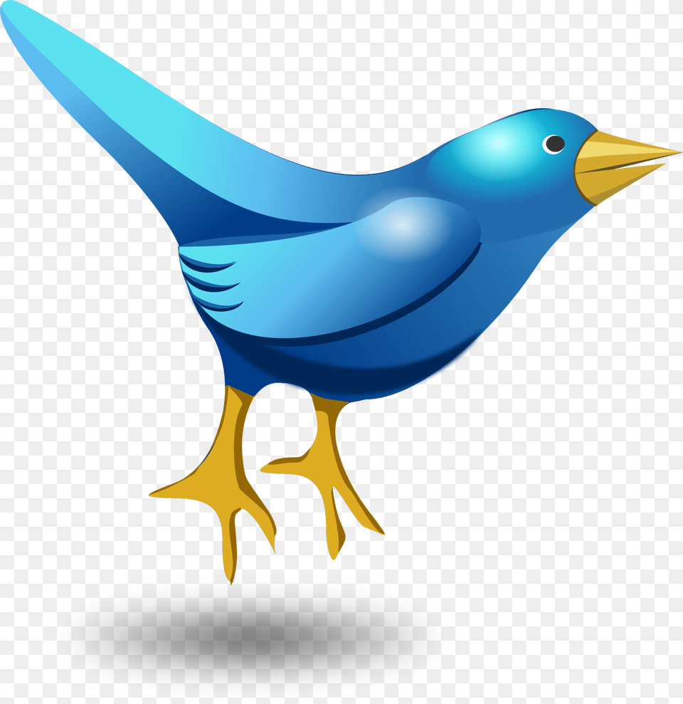 Twitter Tweet Bird Funny Cute Blue Messaging Bird Twitter Funny, Animal, Beak, Jay, Blackbird Png
