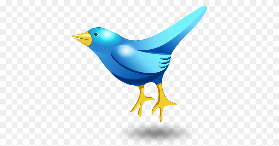Twitter Tweet Bird Vector Transparent Image, Animal, Beak, Jay, Fish Png