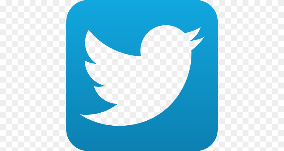Twitter Twitter Bird Button Twitter Button Icon, Animal, Blackbird, Fish, Sea Life Png