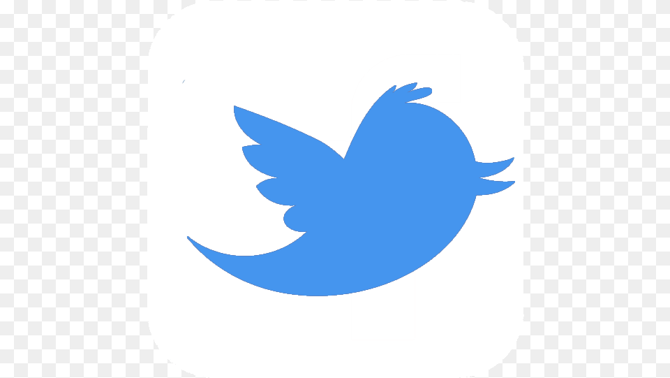 Twitter Twitter Logo, Animal, Fish, Sea Life, Shark Free Png