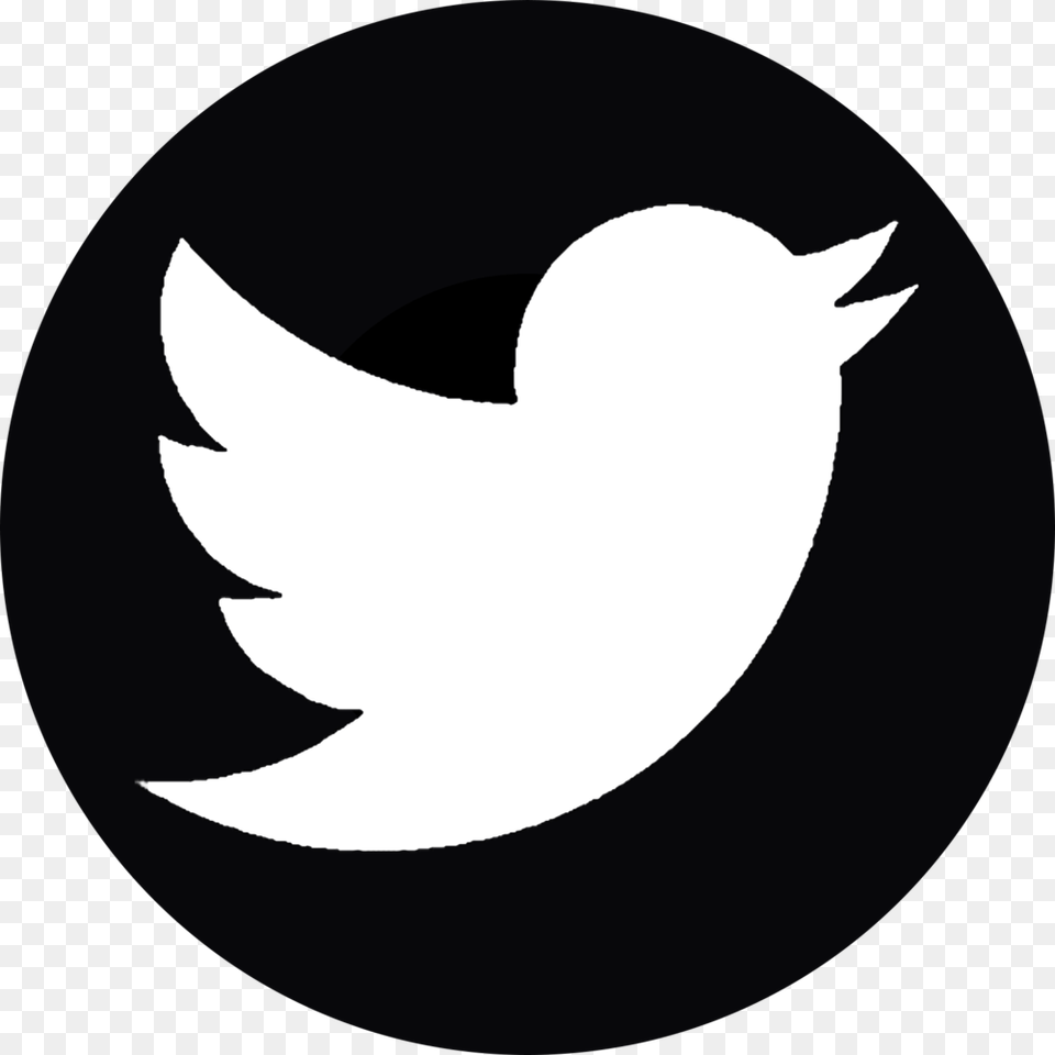 Twitter Twitter White Logo Png Image