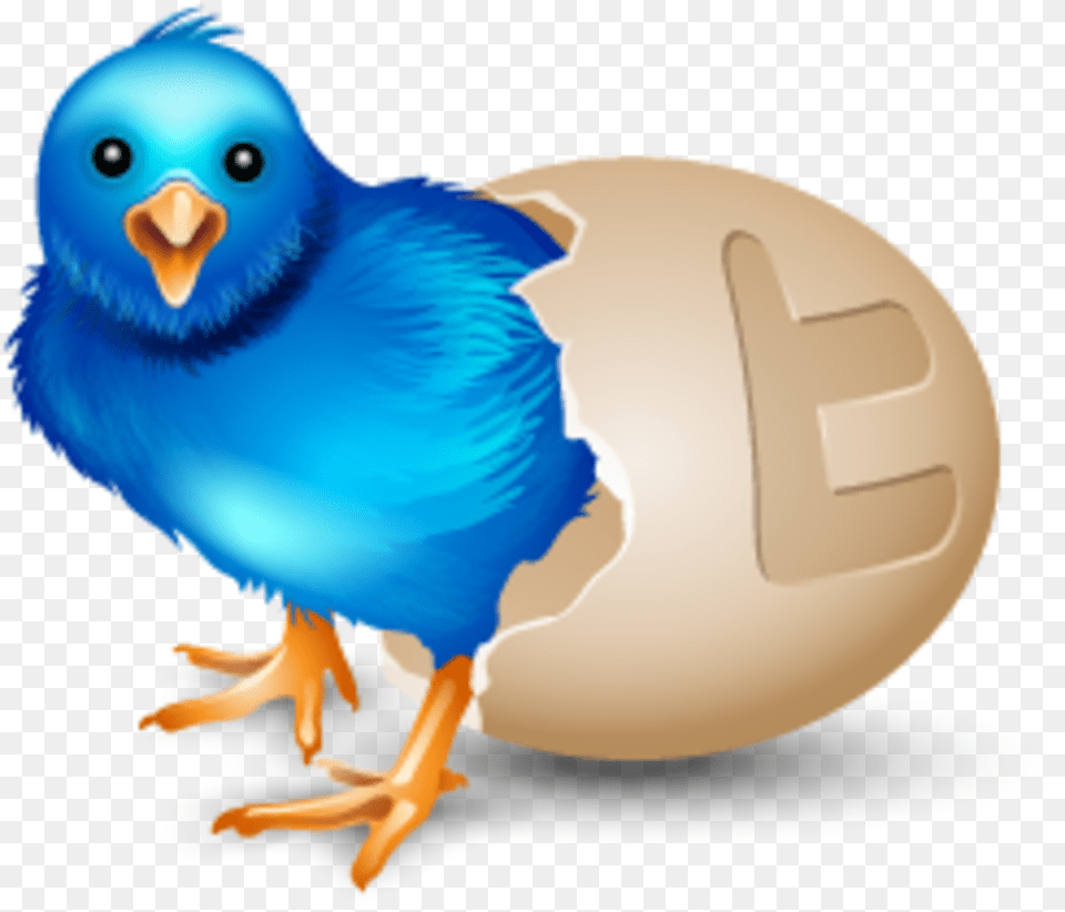 Twitter Vector Icons Massive Icon Set Social Media Icon Birds, Animal, Bird Png