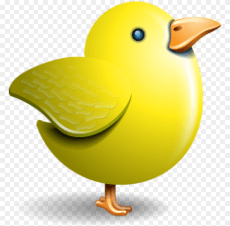 Twitter Vector Icons Massive Icon Set Yellow Bird Icon, Animal, Beak Png