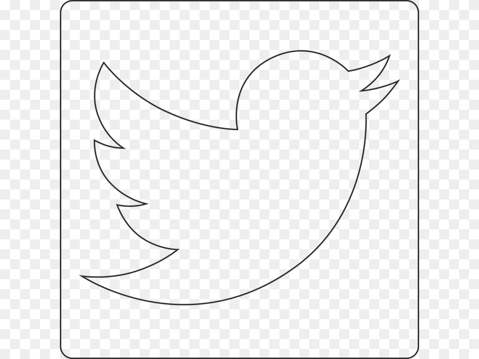 Twitter White Logo Twitter Logo Beyaz, Animal, Bird, Blackbird Png Image