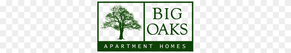 Two And Three Bedroom Apartments In Lakeland Fl Big Oaks Apts, Oak, Green, Vegetation, Tree Png