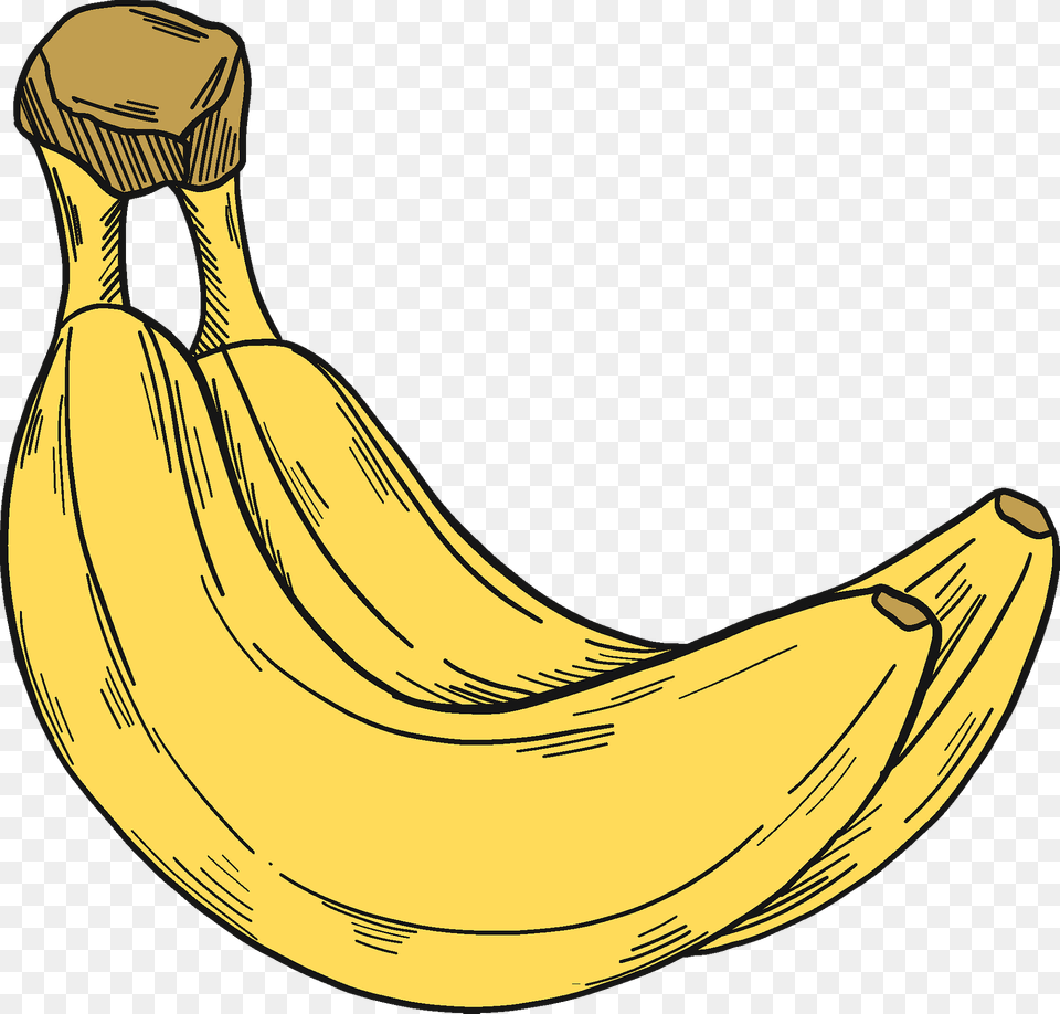 Two Bananas Clipart, Banana, Food, Fruit, Plant Free Transparent Png
