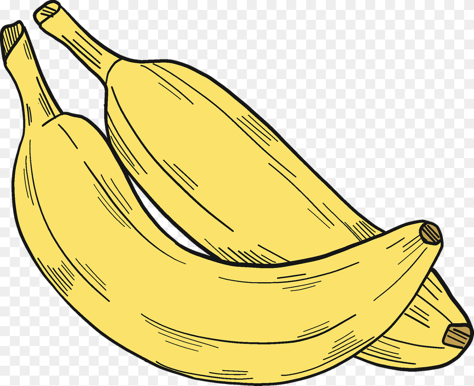 Two Bananas Clipart, Banana, Food, Fruit, Plant Free Transparent Png