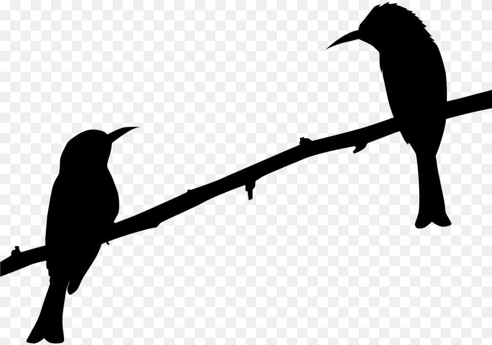 Two Birds On Branch Silhouette, Animal, Bird, Blackbird, Beak Png