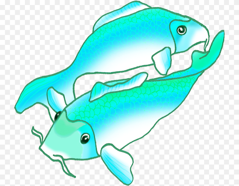 Two Blue Green Koi Fish, Animal, Sea Life, Water Free Png