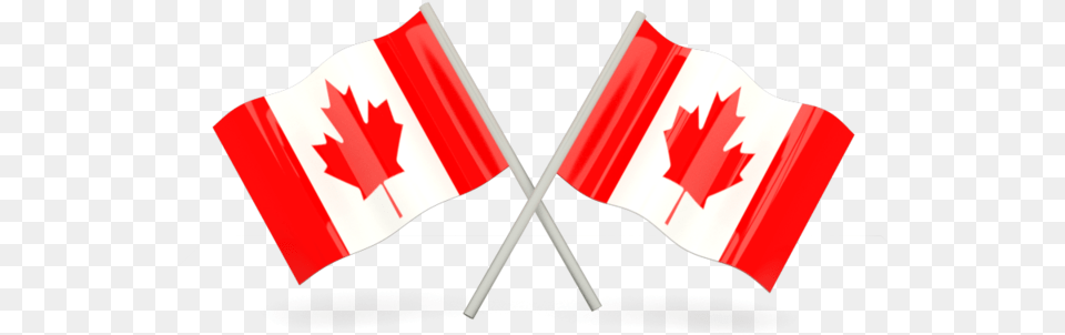 Two Canada Flags, Leaf, Plant, Food, Ketchup Free Transparent Png