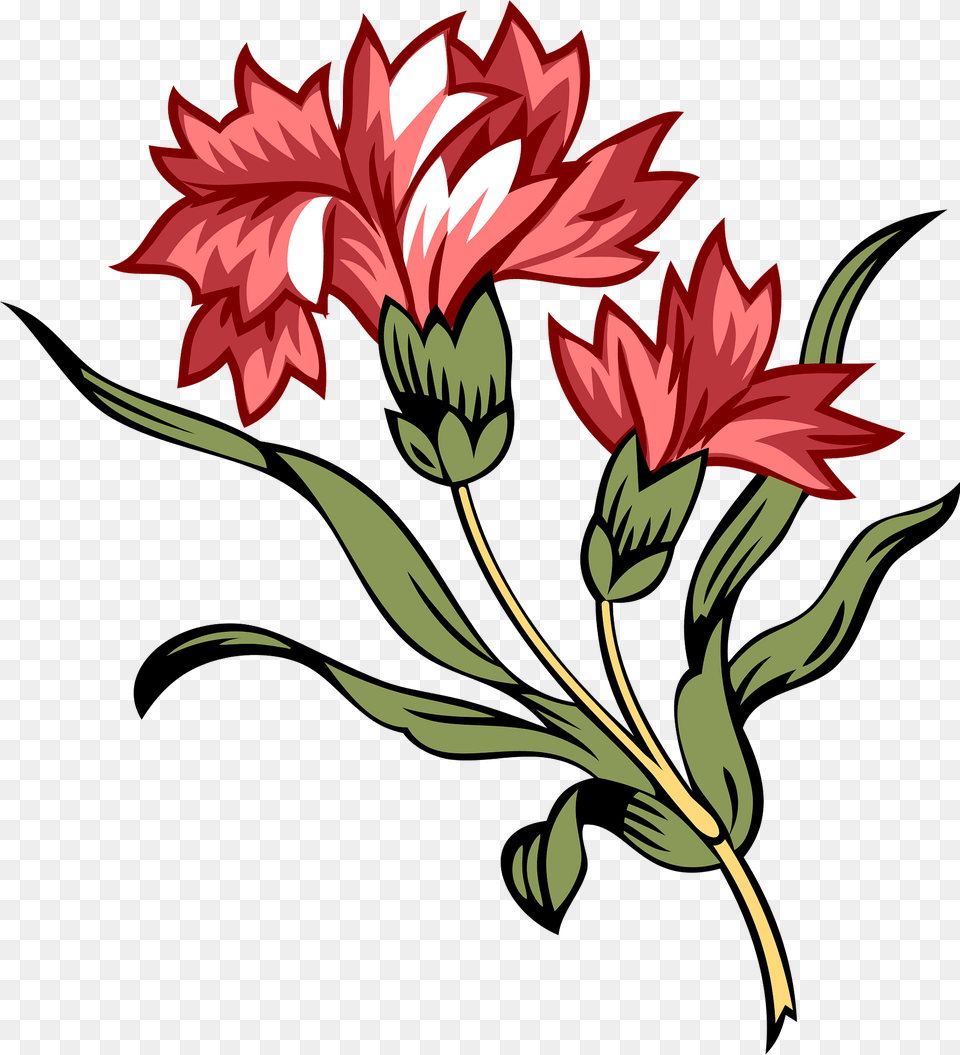 Two Carnation Blooms With Leaves On Single Stem Clipart, Art, Floral Design, Graphics, Pattern Png Image