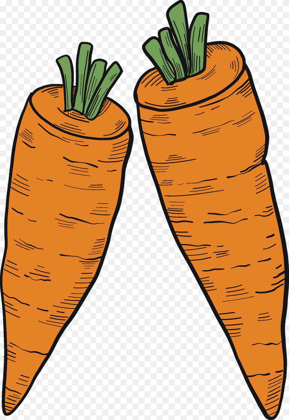 Two Carrots Clipart, Carrot, Food, Plant, Produce Free Png