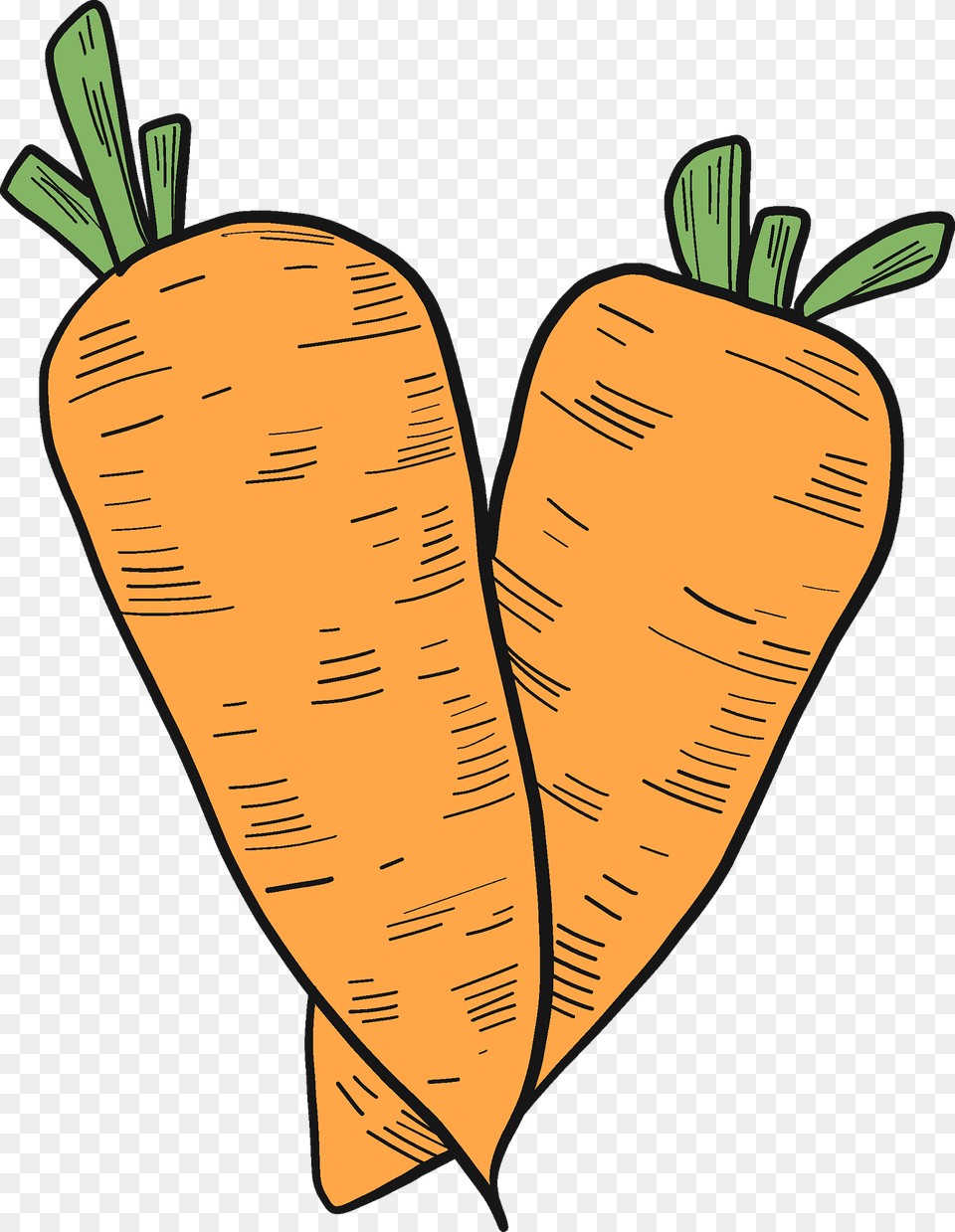 Two Carrots Clipart, Carrot, Food, Plant, Produce Free Transparent Png