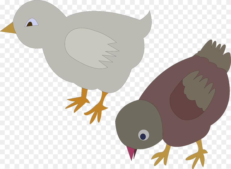 Two Chickens Clipart, Animal, Bird, Fish, Sea Life Free Transparent Png